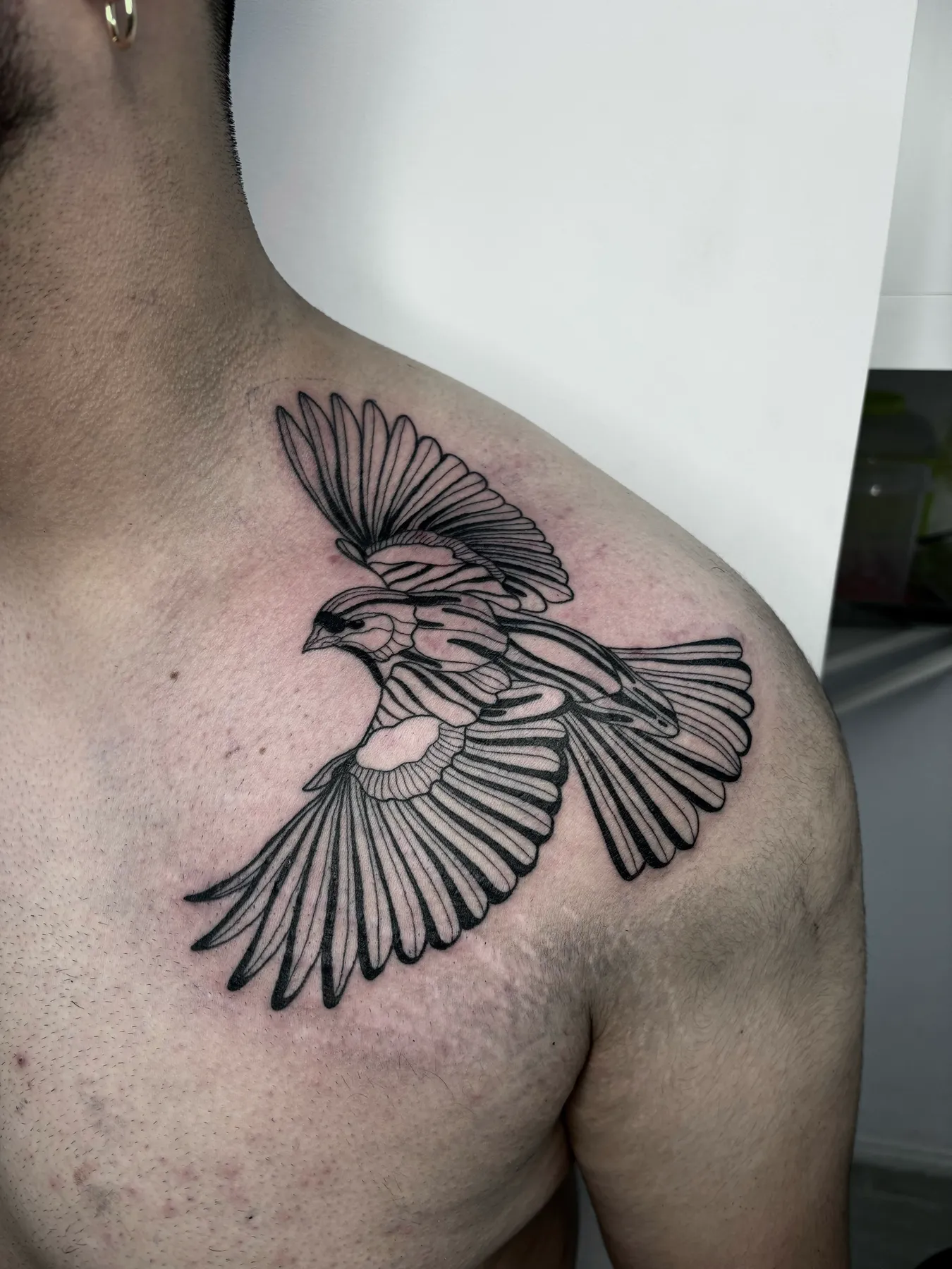 Pájaro en Vuelo — tatuaje Blackwork de Nillattt, foto 1
