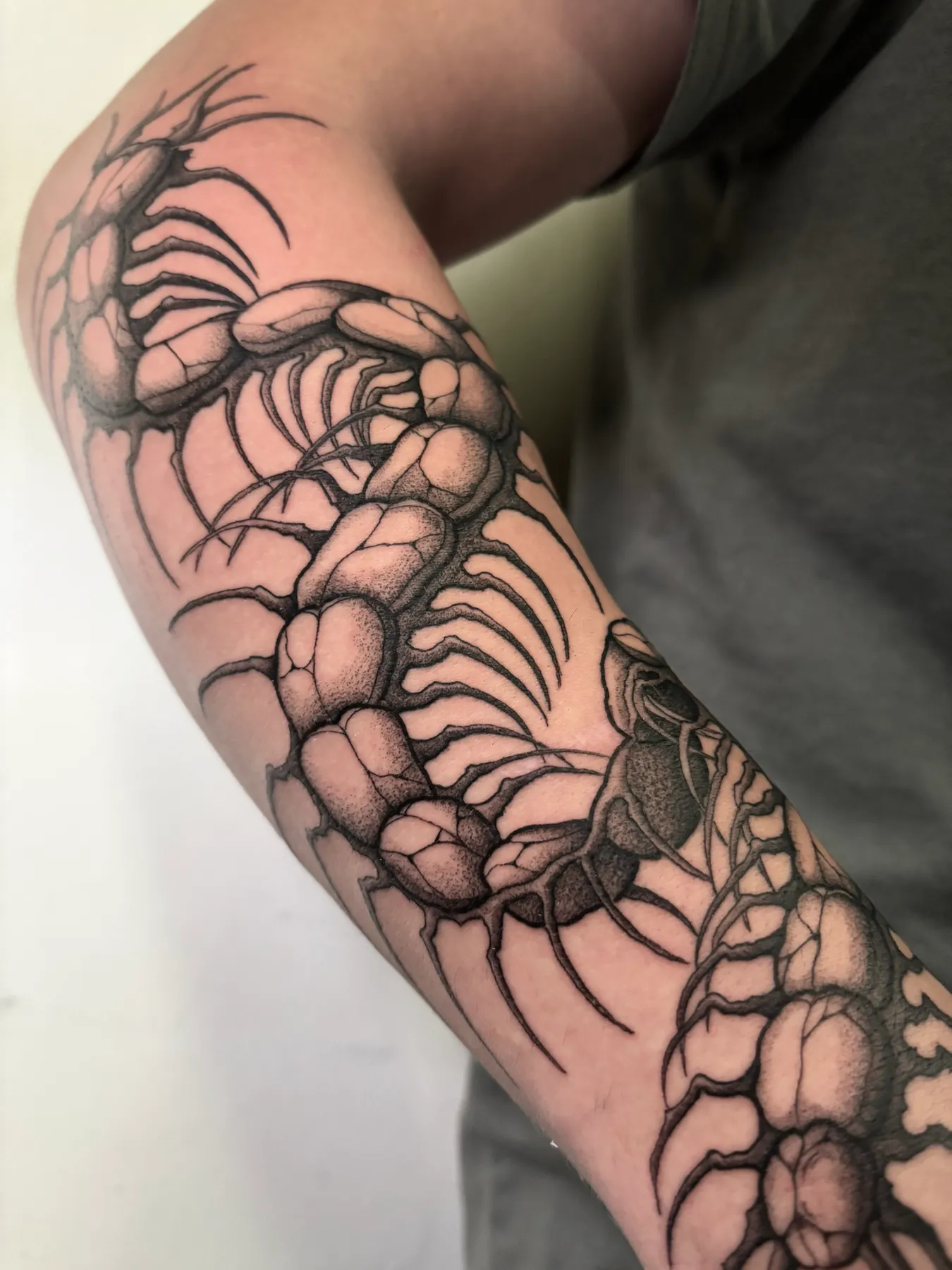 Ciempiés — tatuaje Blackwork de Nillattt, foto 1