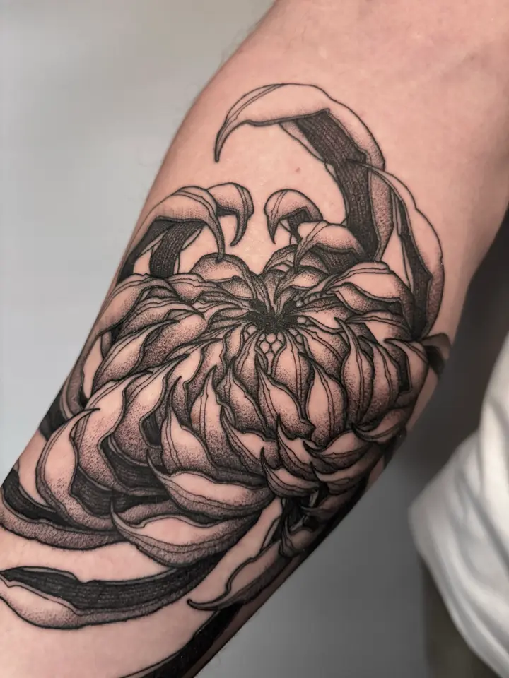 Chrysanthemum — Blackwork tattoo by Nillattt, photo 1