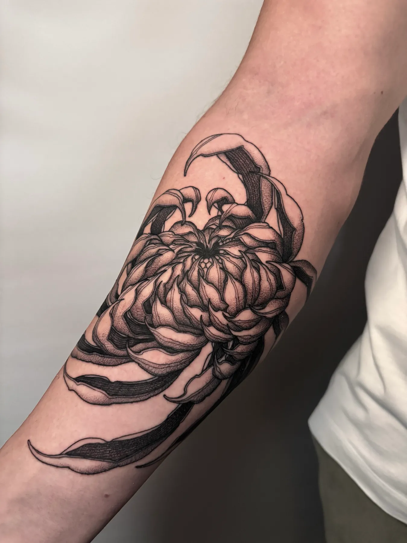Chrysanthemum — Blackwork tattoo by Nillattt, photo 2