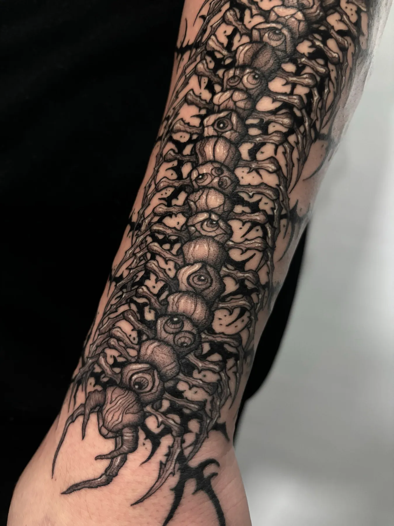 Eyed Centipede — Blackwork tattoo by Nillattt, photo 2