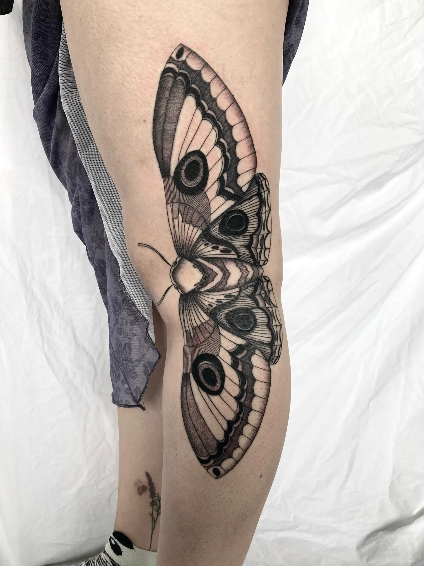 Polilla en Rodilla — tatuaje Blackwork de Nillattt, foto 2
