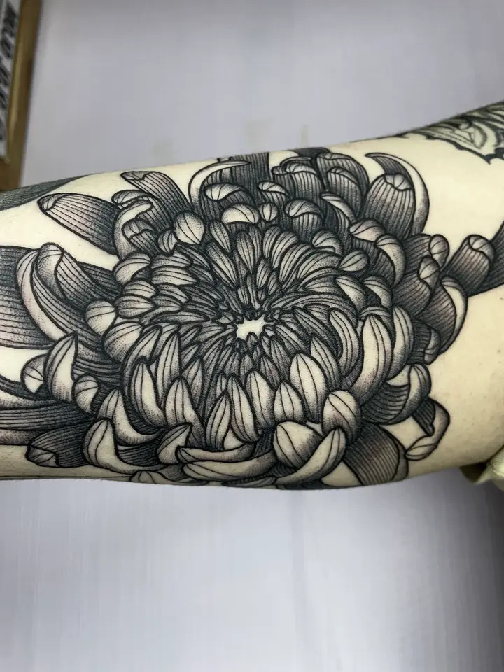 Linework Chrysanthemum — Blackwork tattoo by Nillattt, photo 1