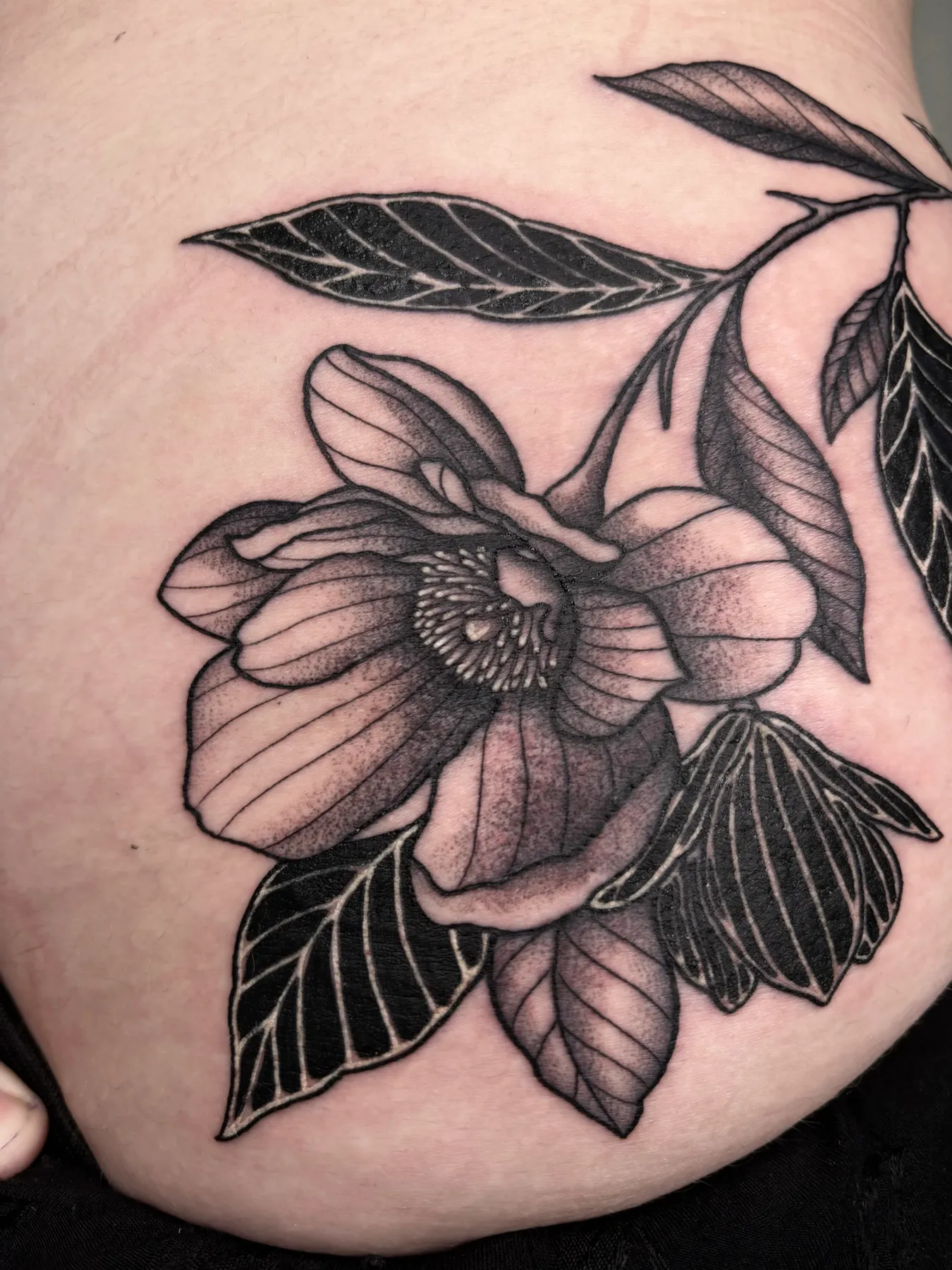 Magnolia — tatuaje Blackwork de Nillattt, foto 2