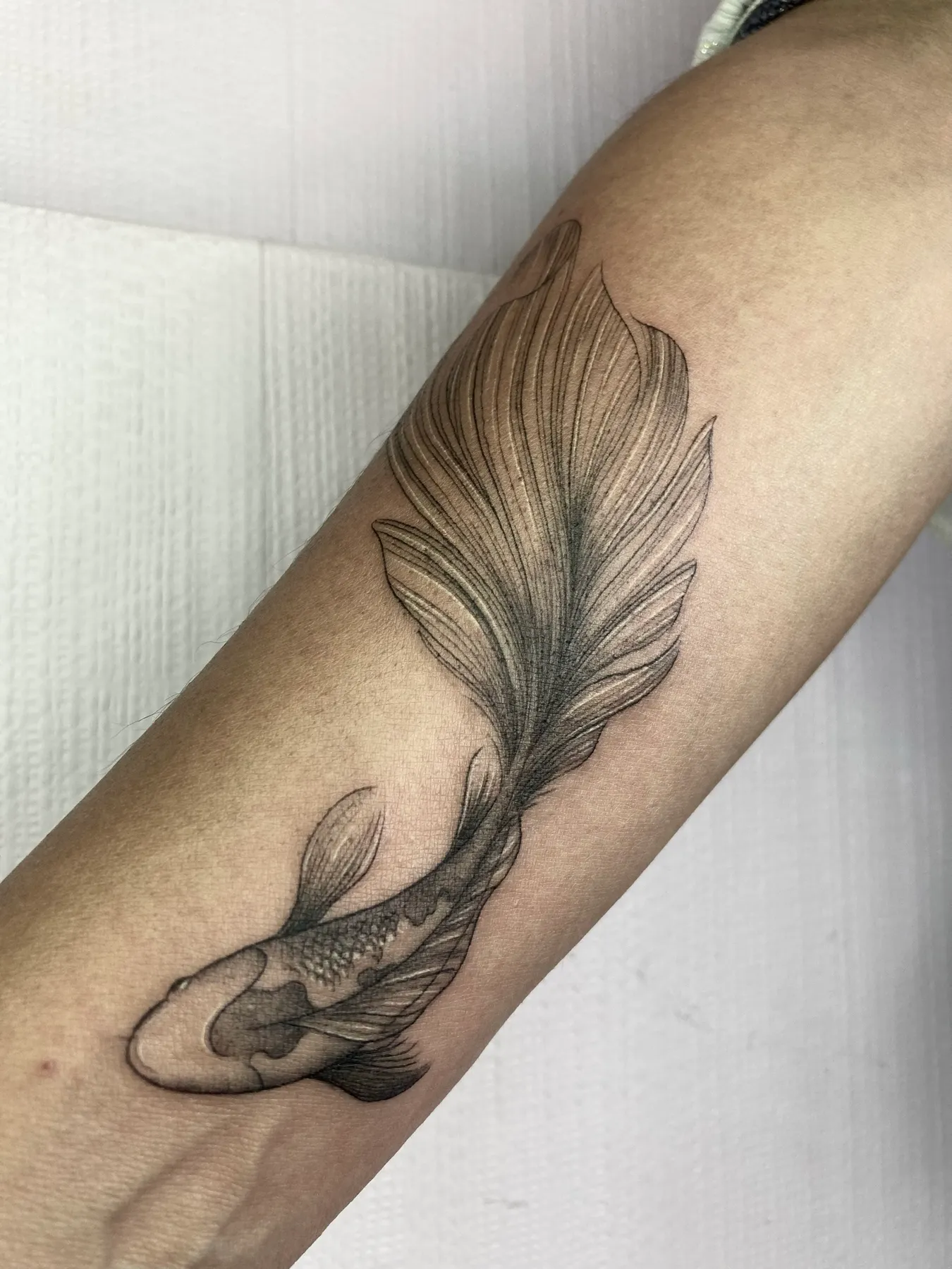 Koi Minimalista — tatuaje Blackwork de Nillattt, foto 1