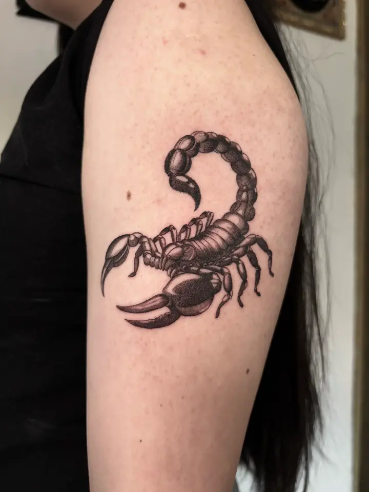 Scorpion — Blackwork tattoo by Nillattt, photo 1