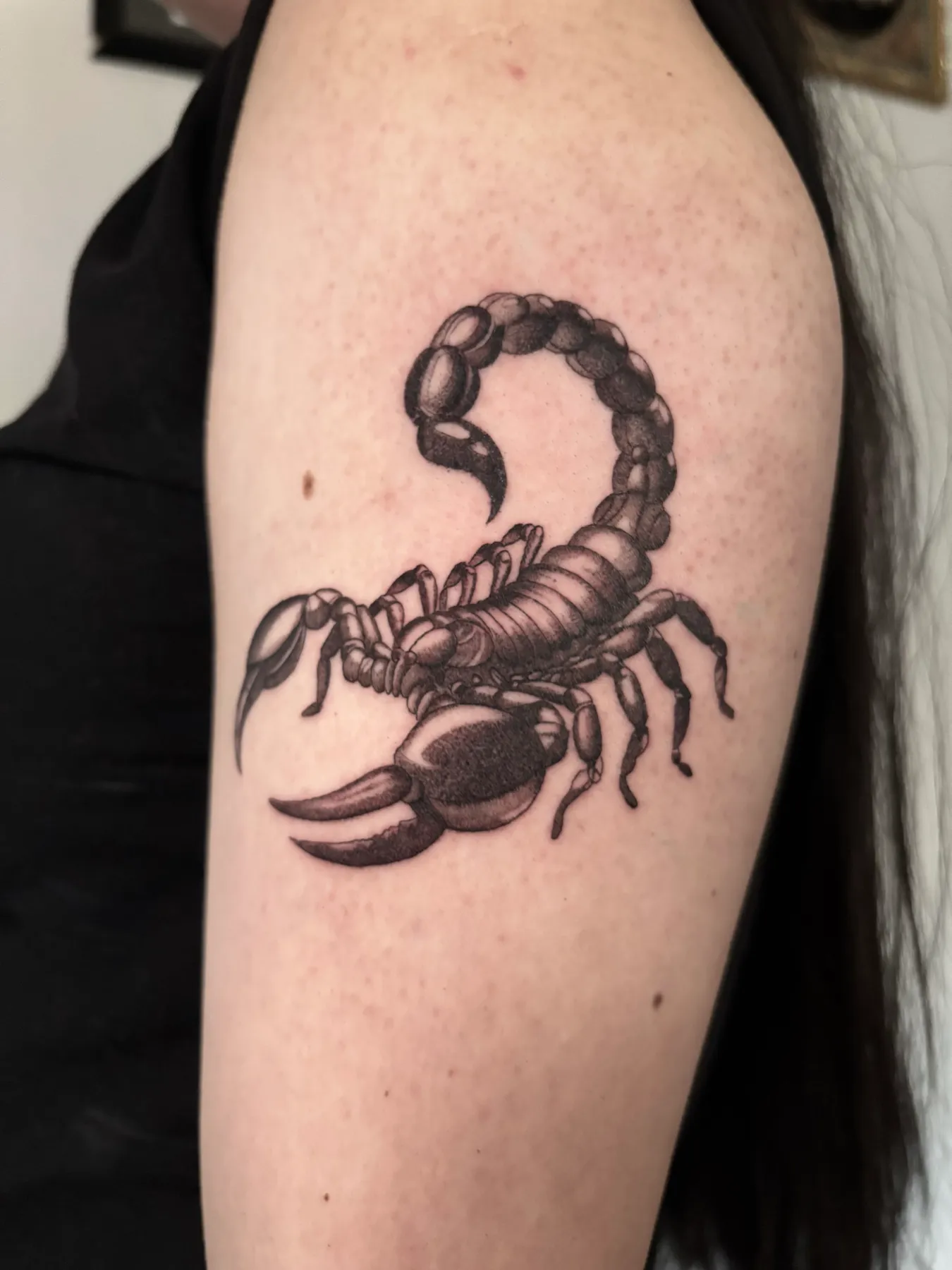Scorpion — Blackwork tattoo by Nillattt, photo 2