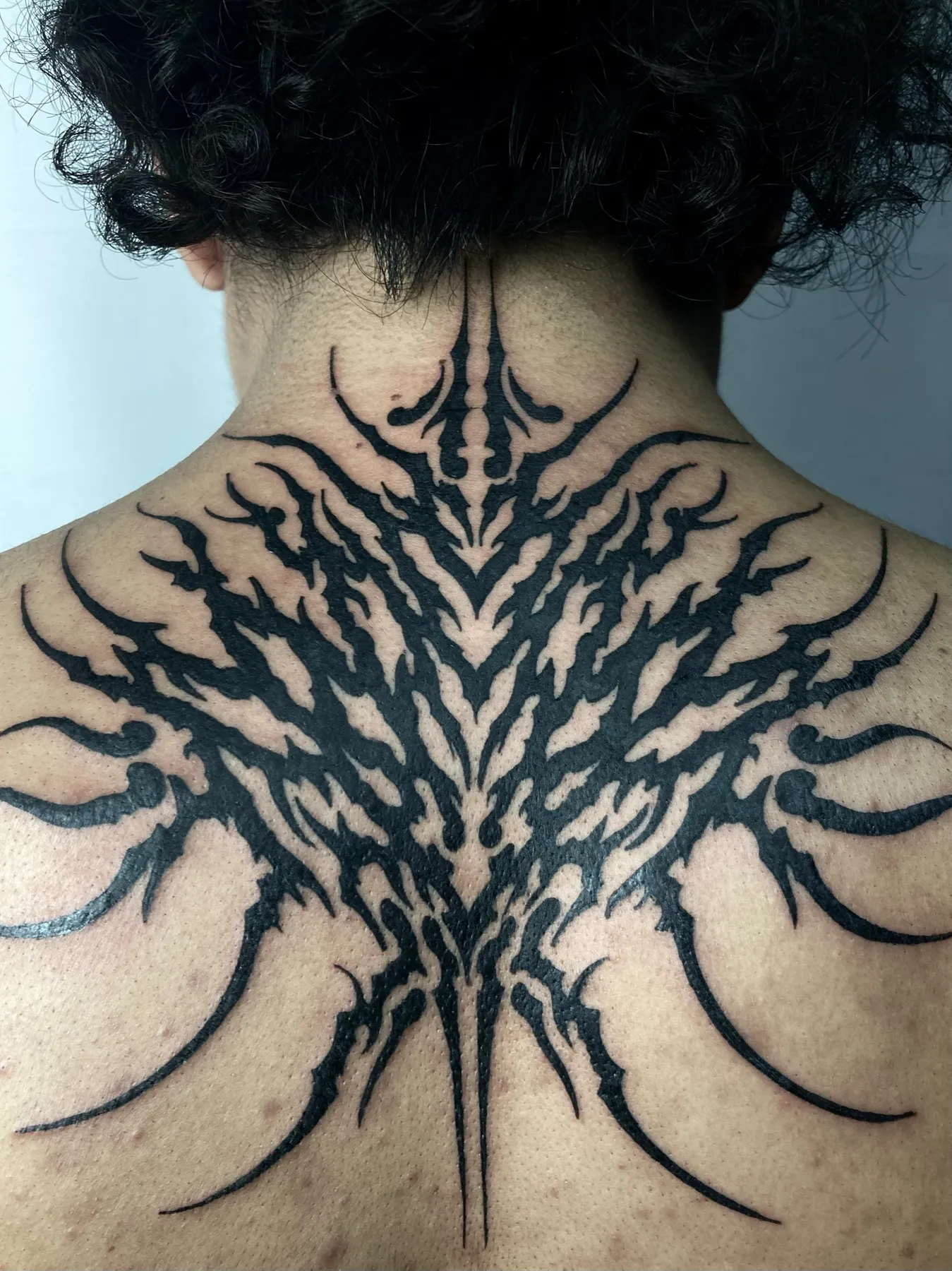 Spine — Neotribal tattoo by Nillattt, photo 1