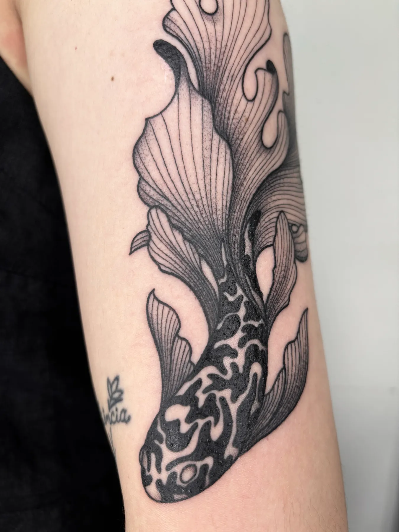 Koi Suminagashi — tatuaje Blackwork de Nillattt, foto 3