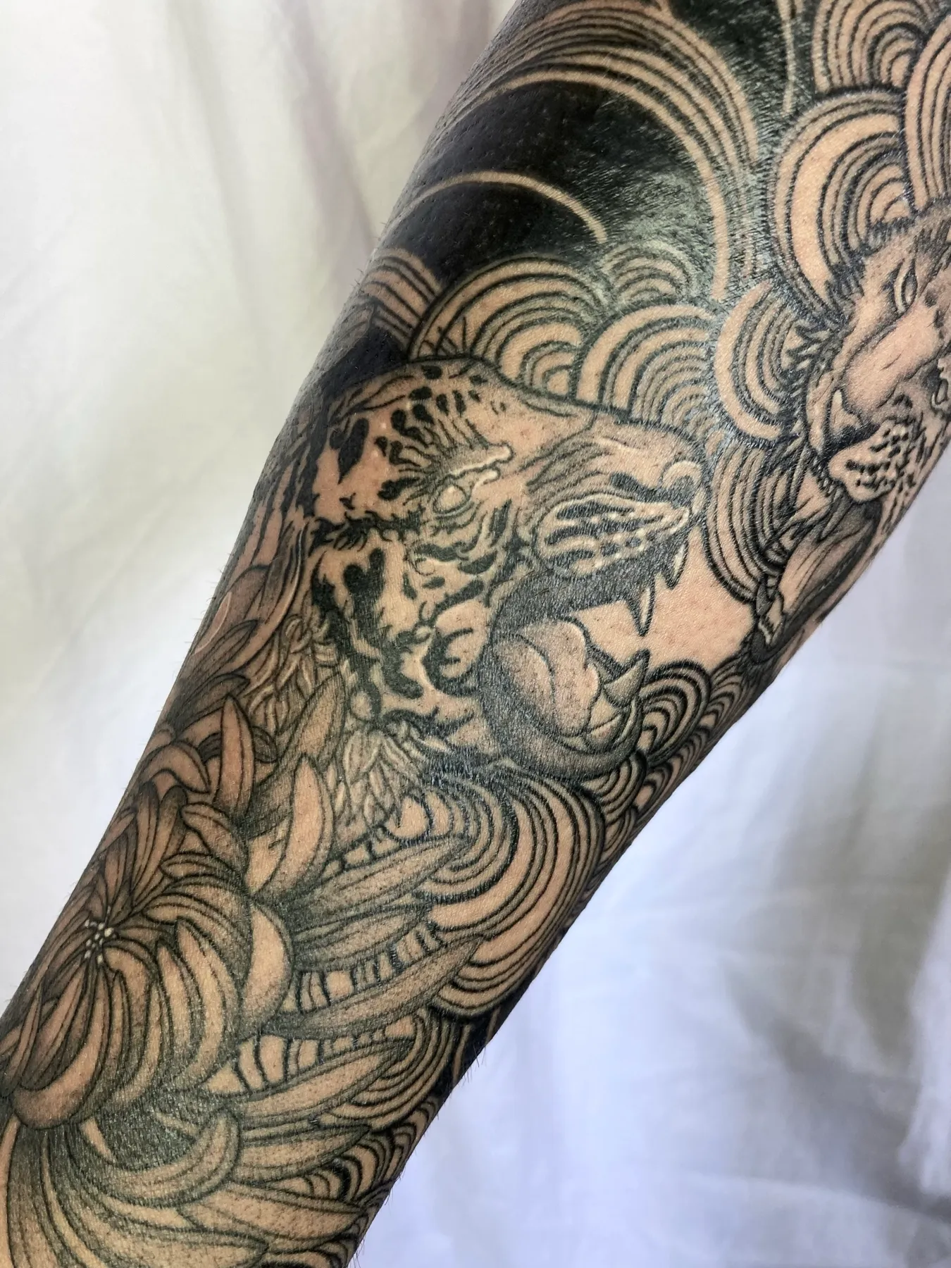 Tigre — tatuaje Blackwork de Nillattt, foto 2