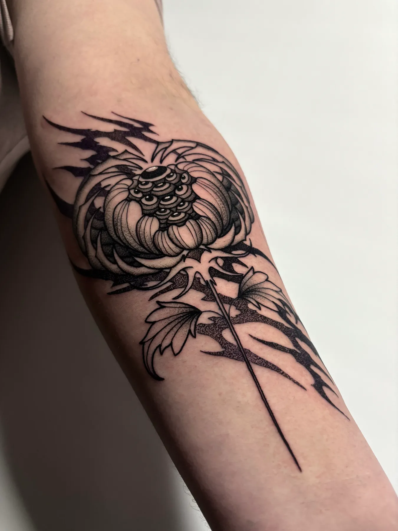 Tribal Chrysanthemum — Blackwork tattoo by Nillattt, photo 2